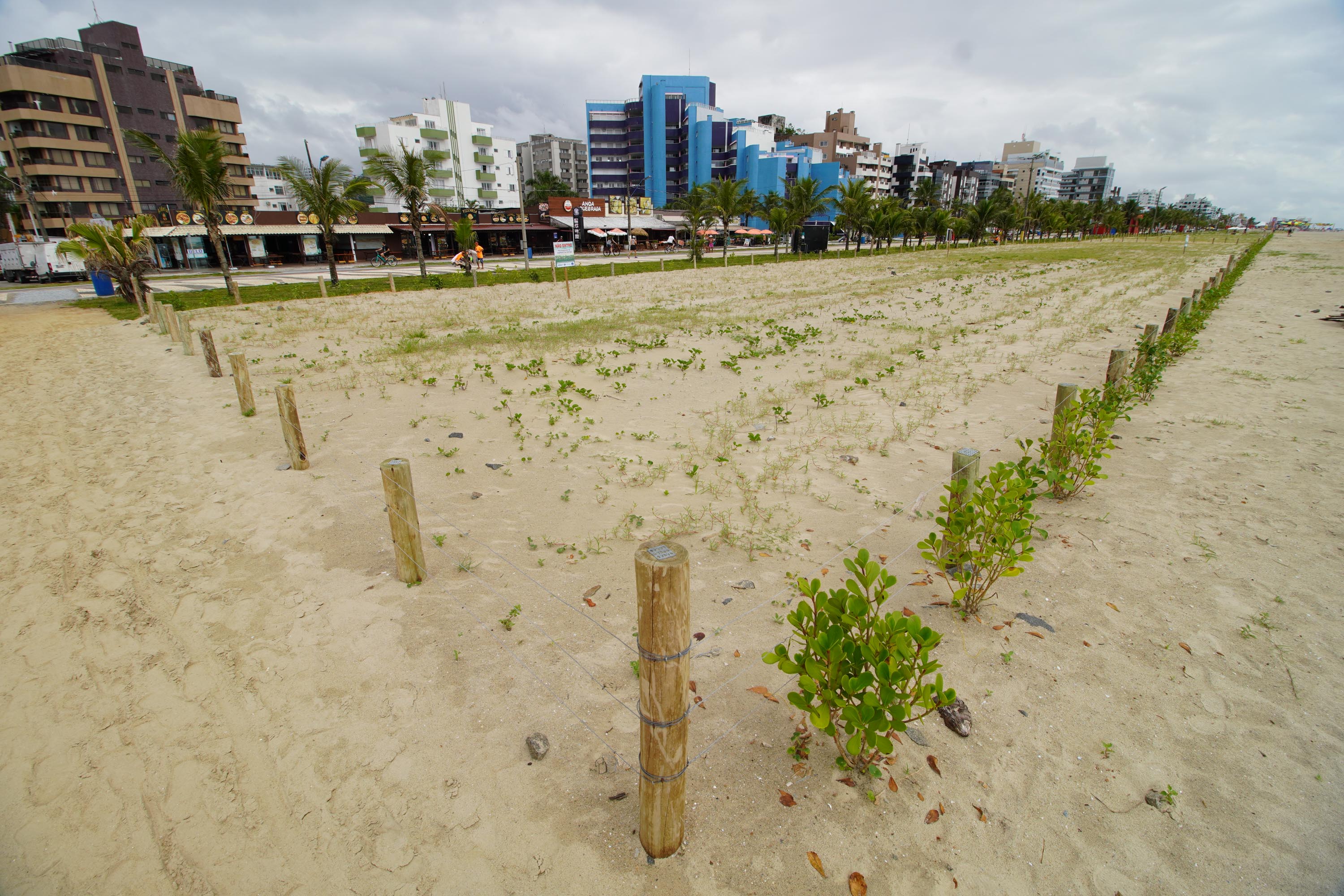 A área de vegetação nativa será ampliada em quase cinco vezes ao final do projeto, previsto para ocorrer até o segundo semestre de 2024. 