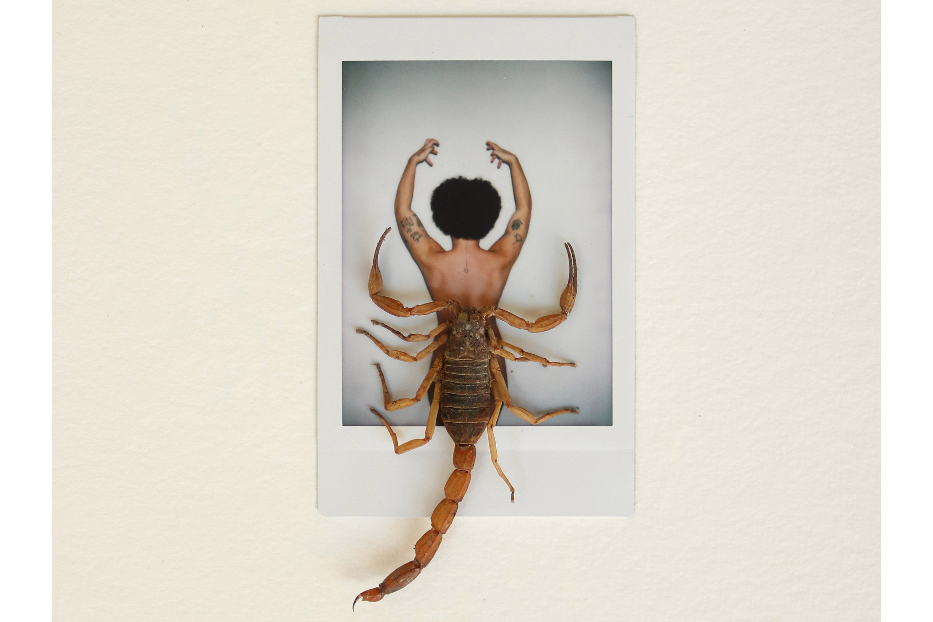 "O Quebra-Nozes", retomada do Prêmio Gralha Azul e exposições movimentam a agenda cultural