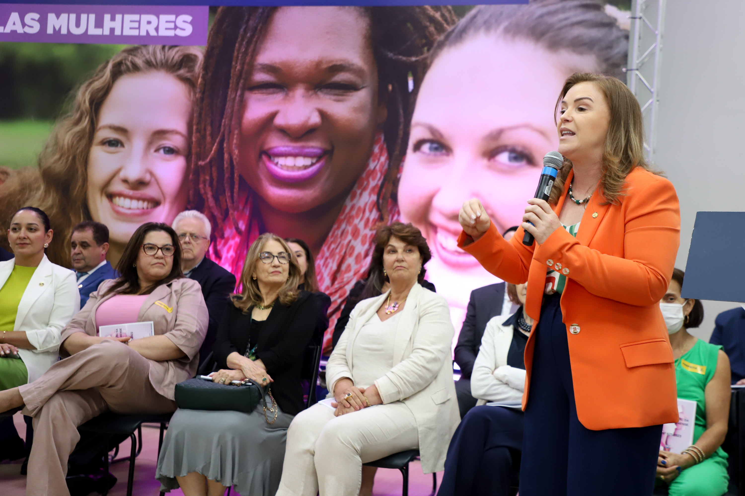 Vice Governador Darci Piana participa do lançamento do código estadual da mulher paranaense.