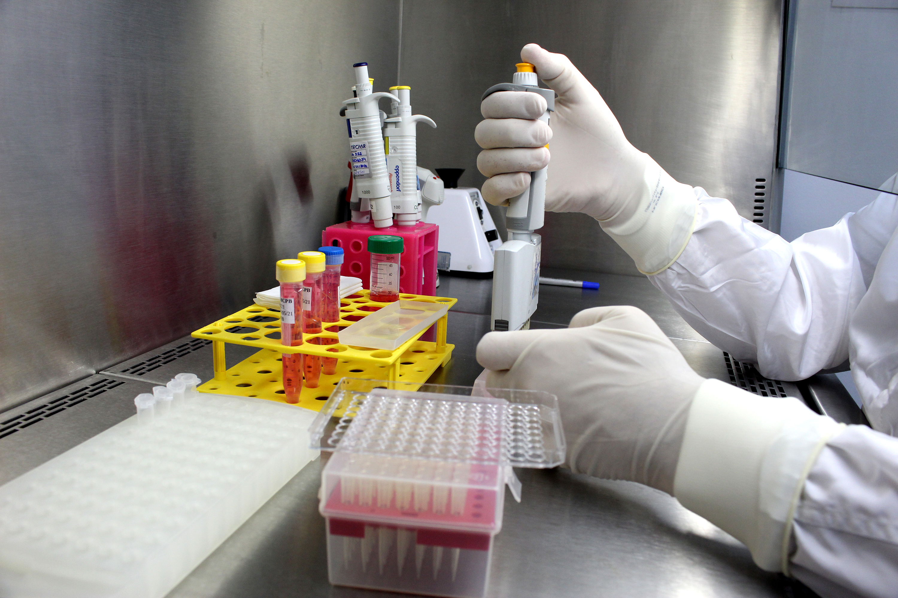 Ensaio de soroneutralização realizado no câmpus Juvevê do Tecpar