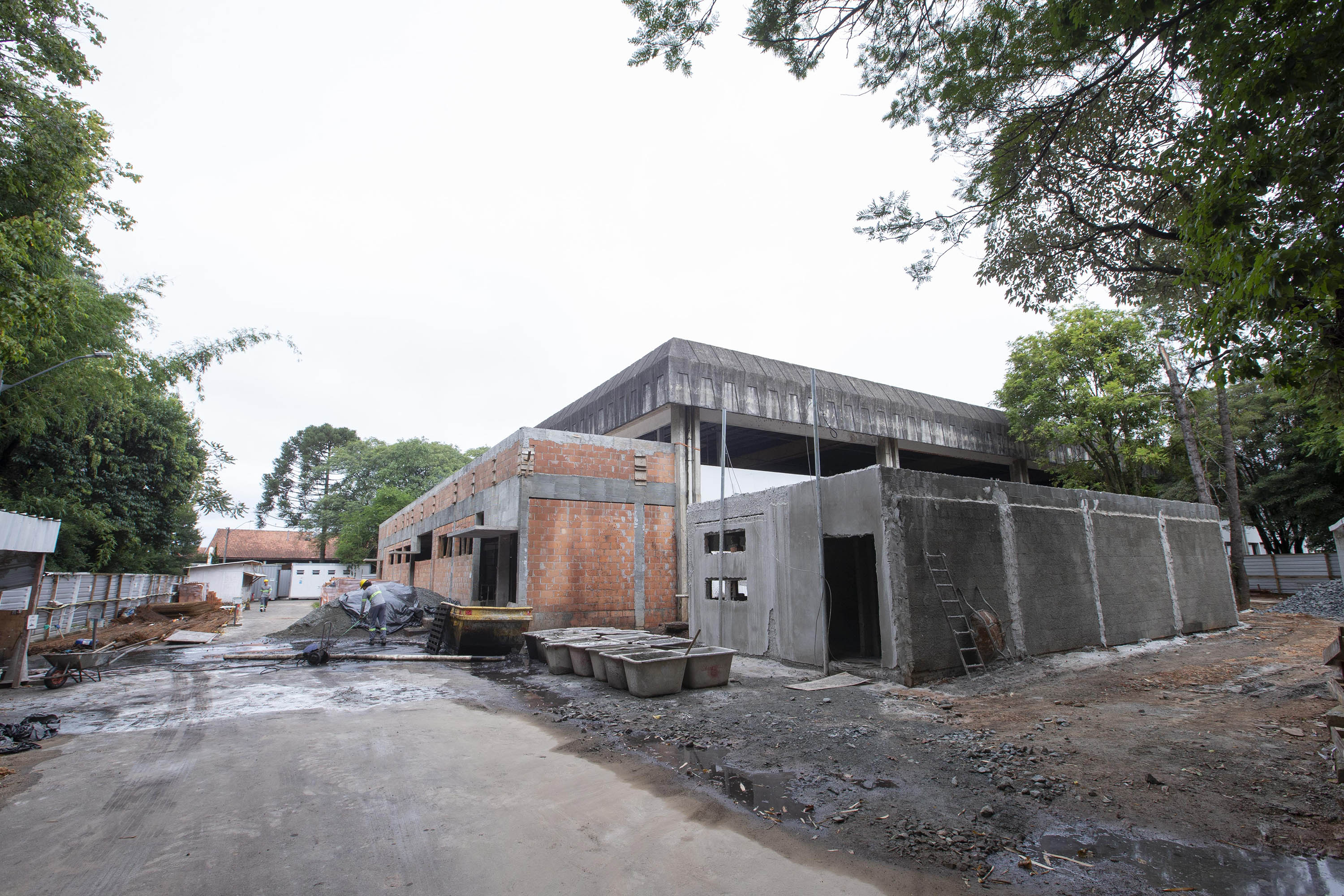 Ensaio de soroneutralização realizado no câmpus Juvevê do Tecpar