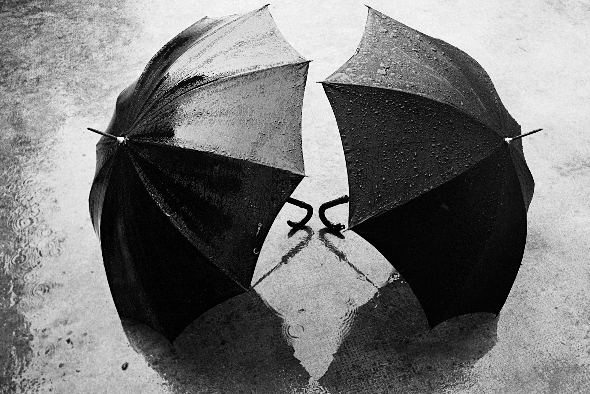 Museu de Arte Contemporânea (MAC-PR) - Sala Aberta – Durante a próxima quarta-feira, de entrada gratuita no museu, o MAC Paraná vai promover mais uma sessão aberta ao público de desenho com modelo vivo, a partir da observação de praticantes de boxe.