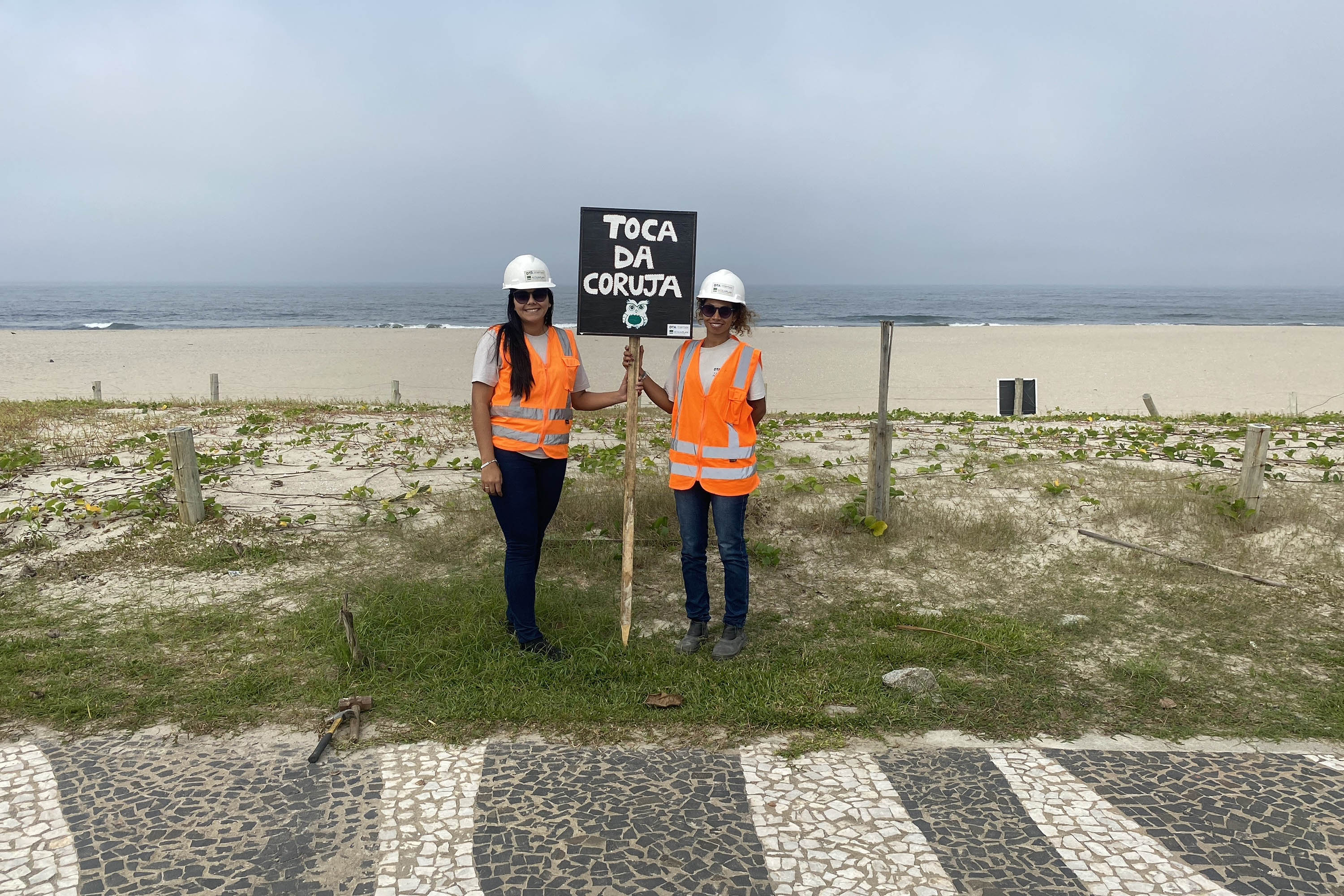 Mais biodiversidade no Litoral do Paraná: corujas-buraqueiras fazem tocas ao longo da nova Orla de Matinhos