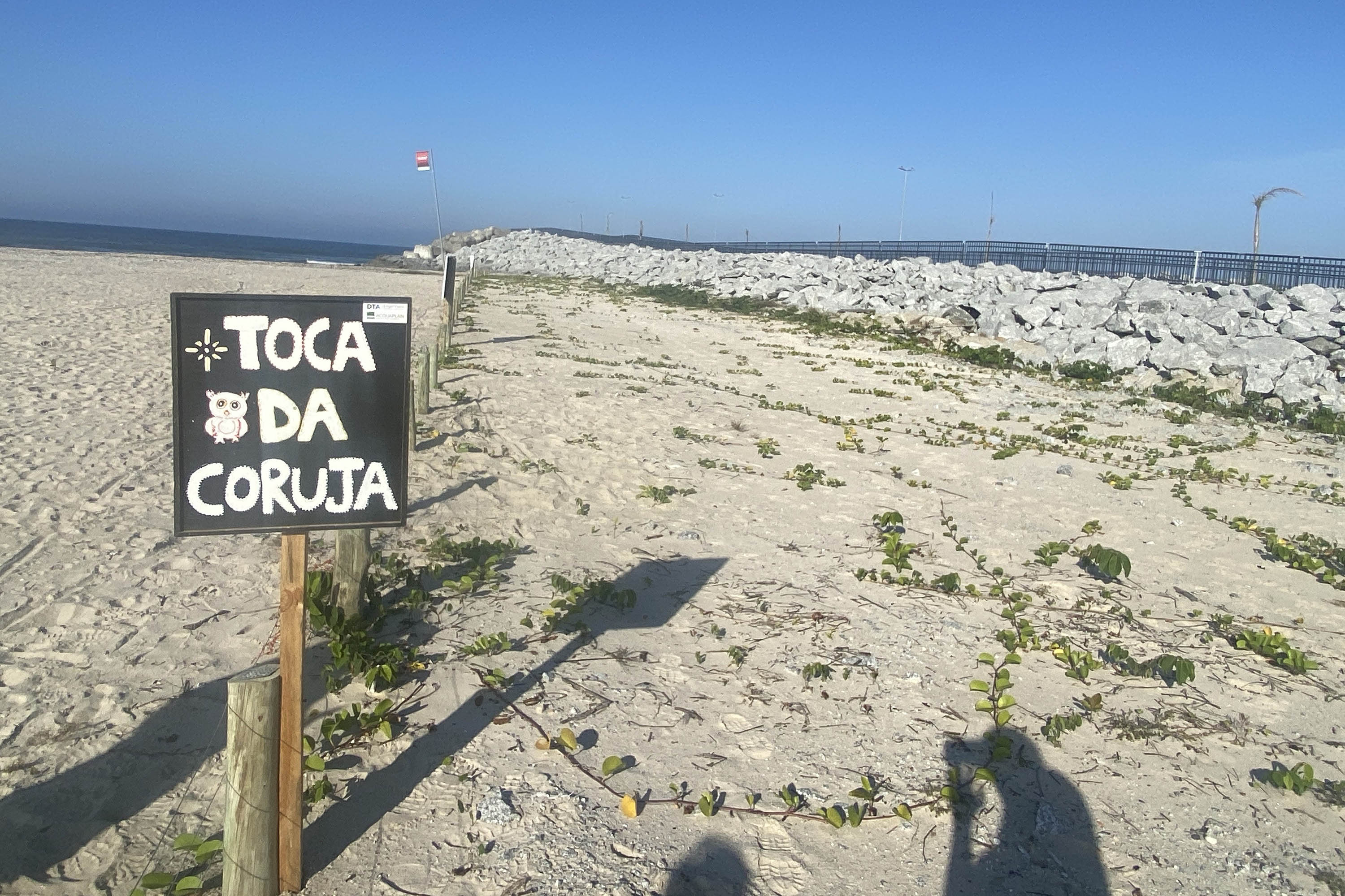 Mais biodiversidade no Litoral do Paraná: corujas-buraqueiras fazem tocas ao longo da nova Orla de Matinhos
