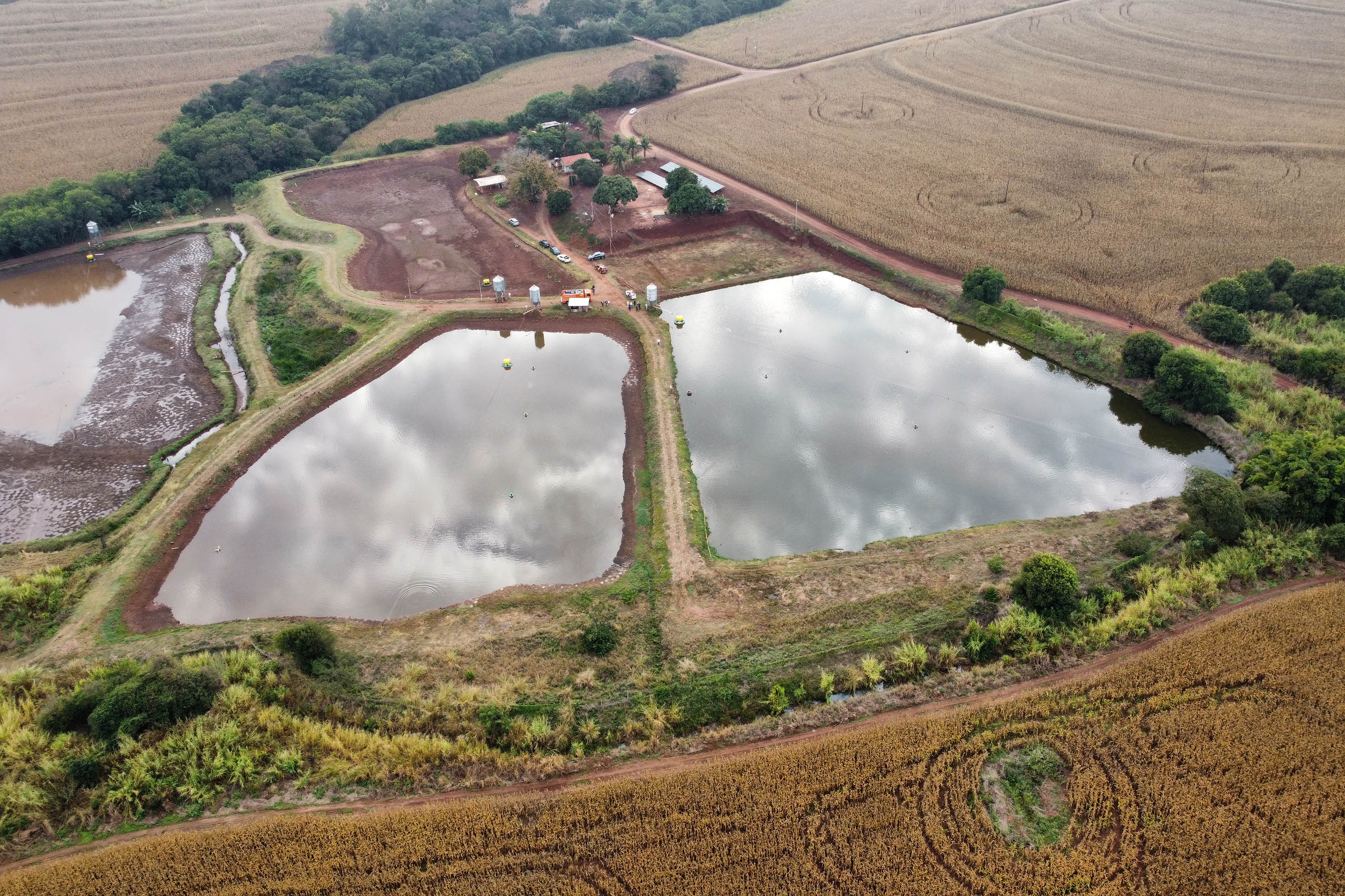 O governador em exercício Darci Piana recebeu o ministro da Pesca e Aquicultura, André de Paula, em uma visita a produtores de tilápia em Alvorada do Sul e Bela Vista do Paraíso, na região Norte do Paraná, nesta segunda-feira (15).