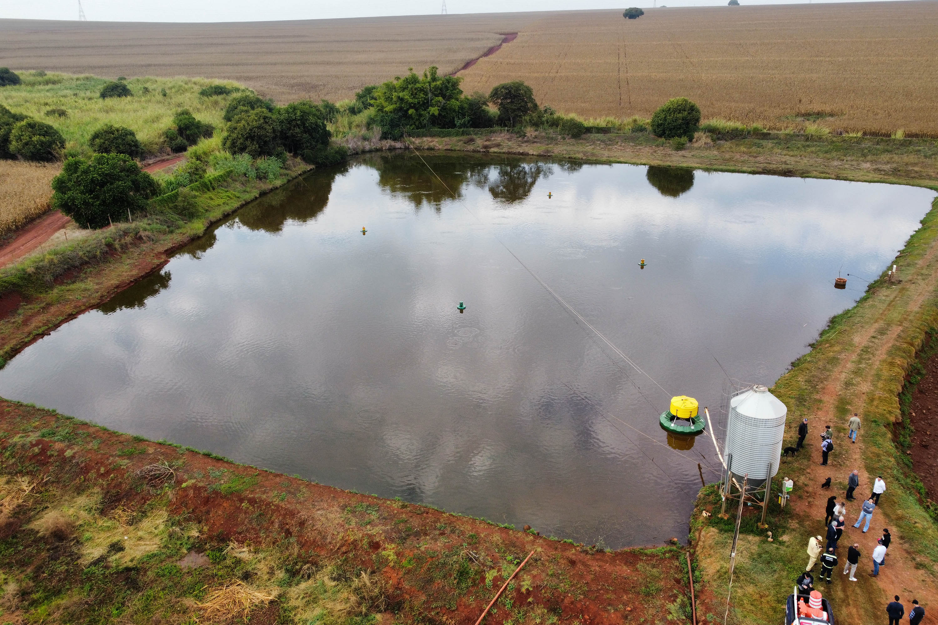 Com tilápia em alta, exportação paranaense de pescados cresceu 20% no 1º semestre de 2024