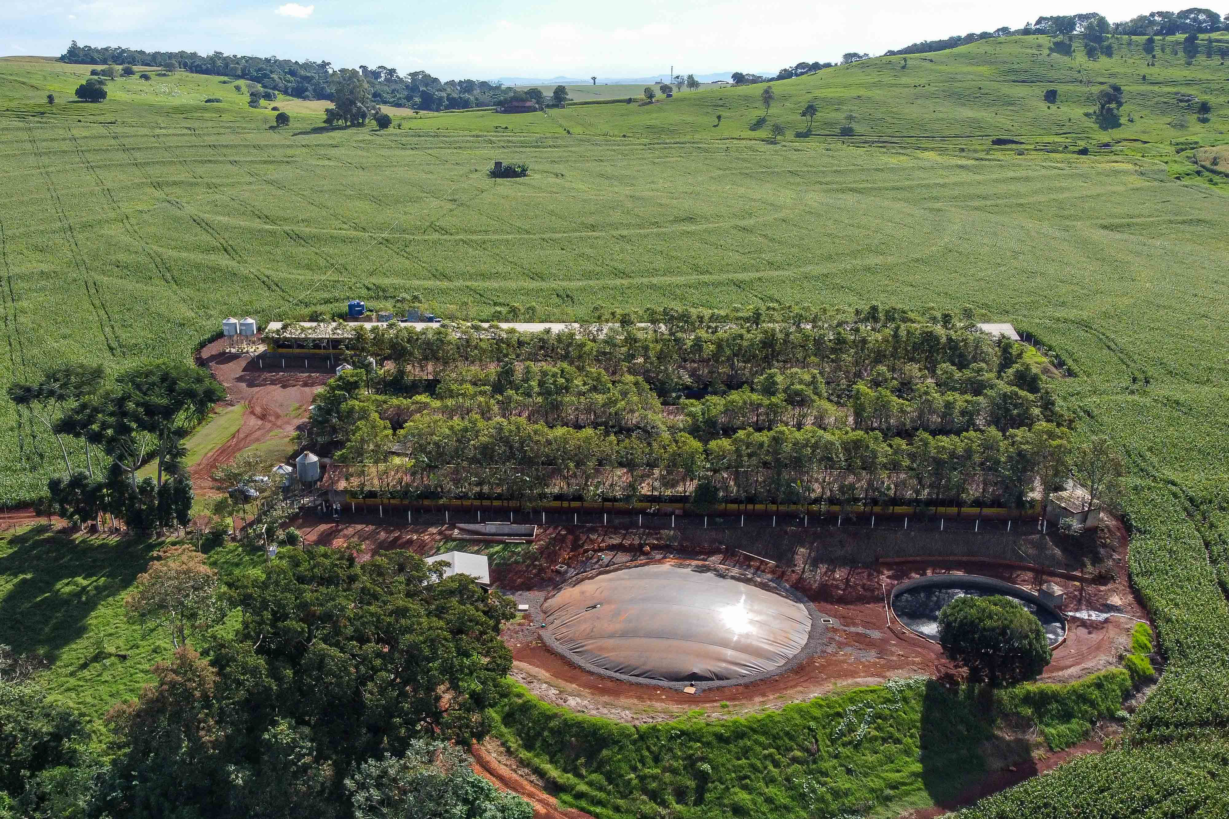 Nova paisagem do campo no Paraná: produção, preservação ambiental e biogás.