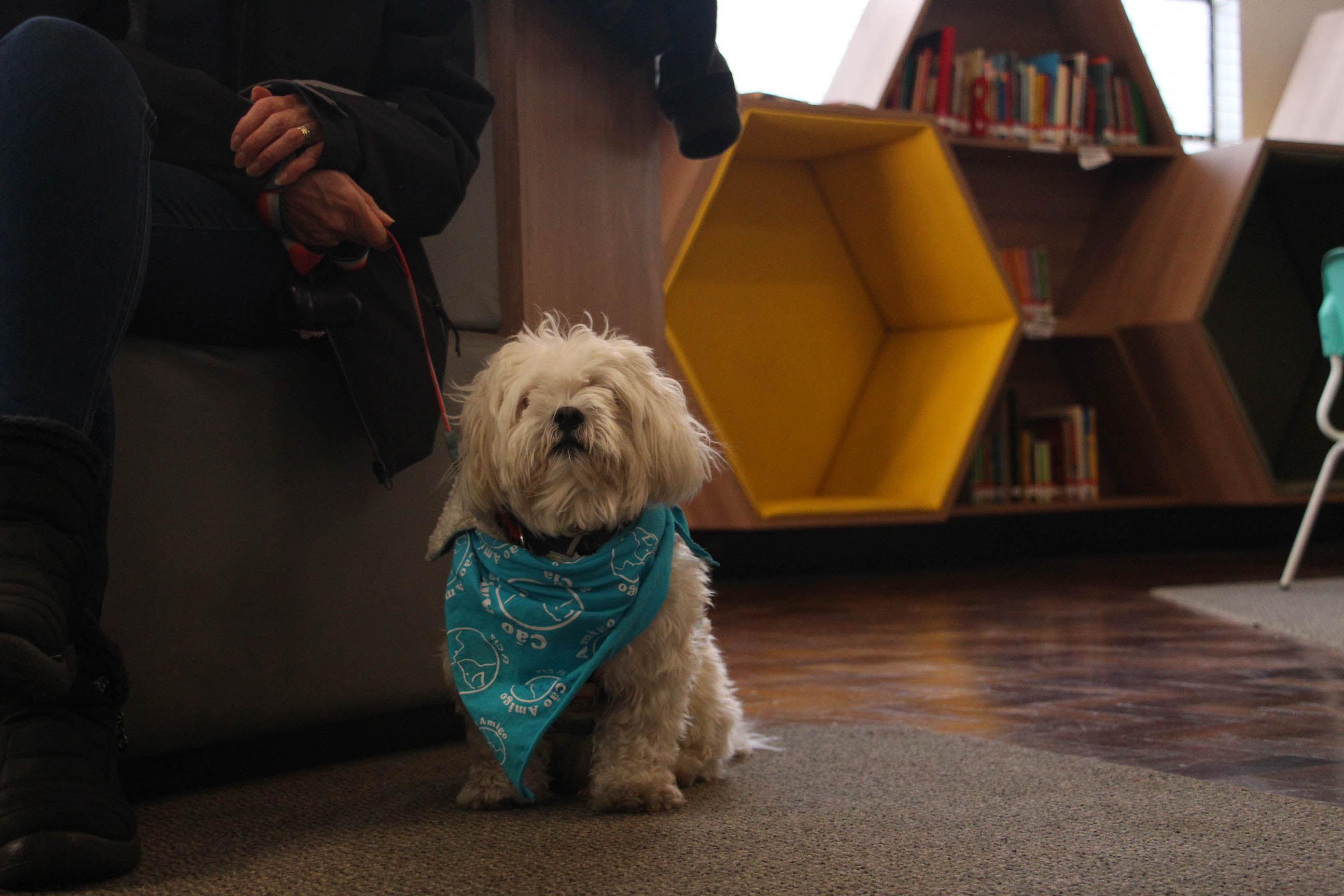 Centro Cultural Teatro Guaíra - Guairão - Guairinha - Radojka - Em temporada com sua primeira montagem no Brasil, o espetáculo “Radojka – uma comédia friamente calculada”, acompanha duas cuidadoras, Glória e Lúcia, que trabalham em diferentes turnos para atender Radojka, uma senhora sérvia que vive longe de sua família. O elenco conta com Marisa Orth, Tania Bondezan, Tadeu Tosta e Rafael Alvim