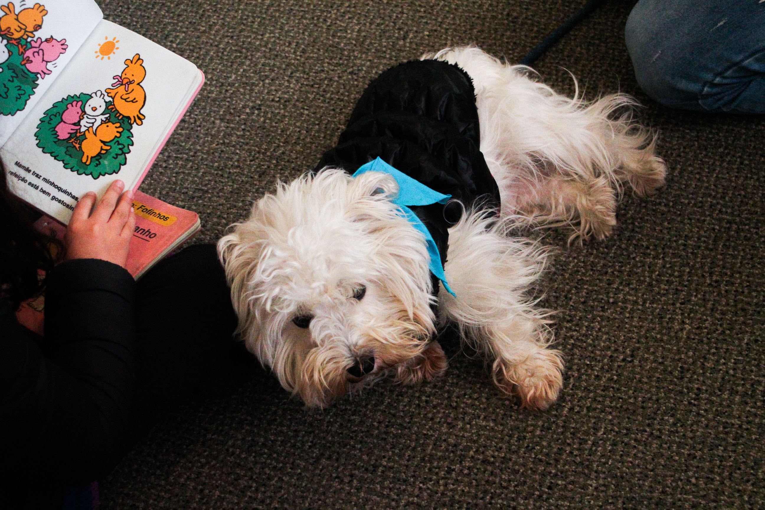 Museu Casa Alfredo Andersen (MCAA) - "Segredo da Cor" – A exposição "Segredo da Cor", já em exibição no museu, traz uma poderosa coleção de obras de Cecifrance Aquino, com foco na temática antirracista. Entre os destaques, além dos estandartes, encontra-se a releitura de "Duas Raças", de Alfredo Andersen, um convite para desvendar os segredos que nossas cores carregam