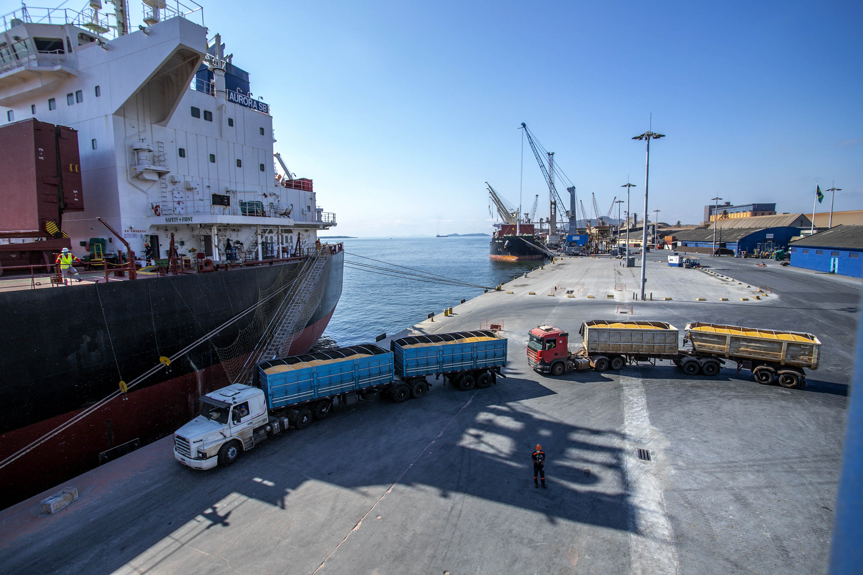 Exportações paranaenses chegam a 167 países e somam US$ 1,45 bilhão em janeiro Foto: Claudio Neves/Portos do Paraná