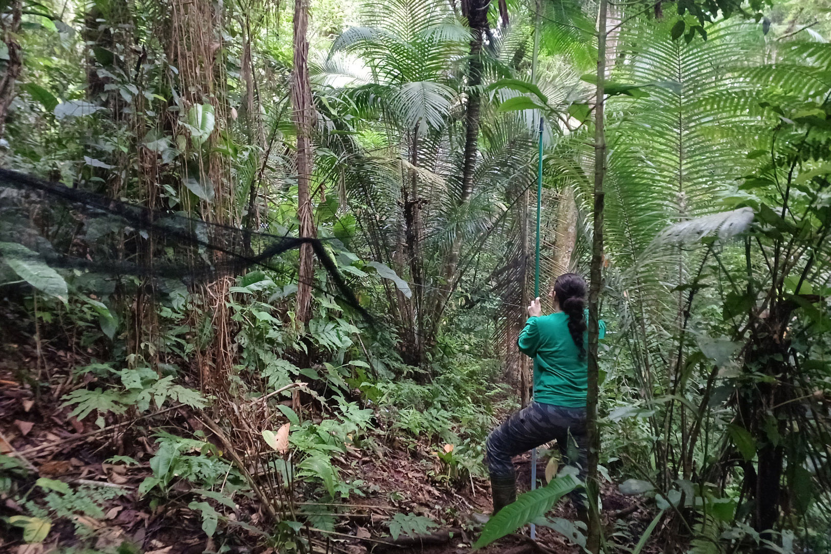 2 mil toneladas de aço, sapo raro e muito gelo na obra: as curiosidades da Ponte de Guaratuba