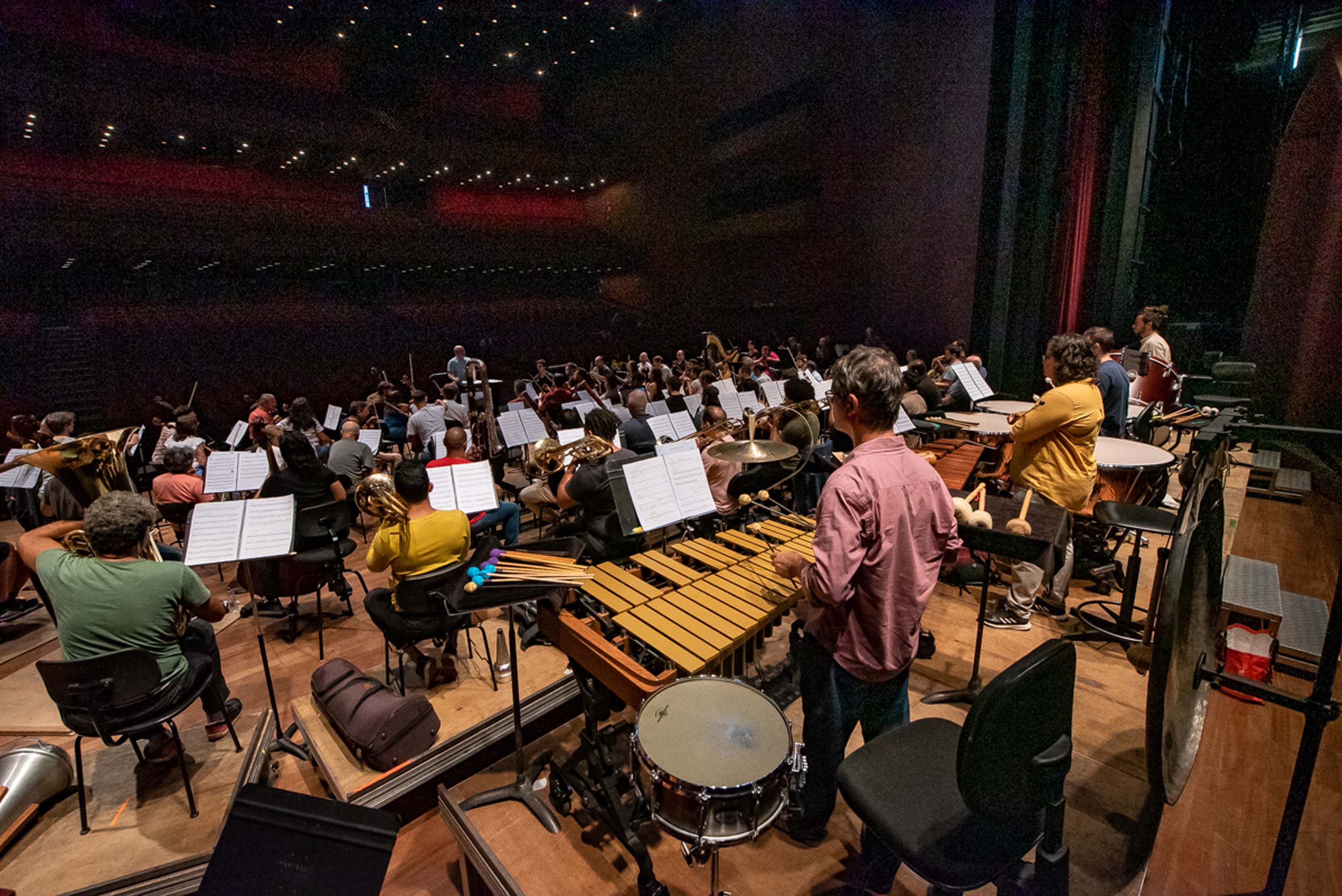 As orquestras são compostas por três famílias ou naipes instrumentais: as cordas, o sopro e a percussão. Foto: Kraw Penas/SECC
