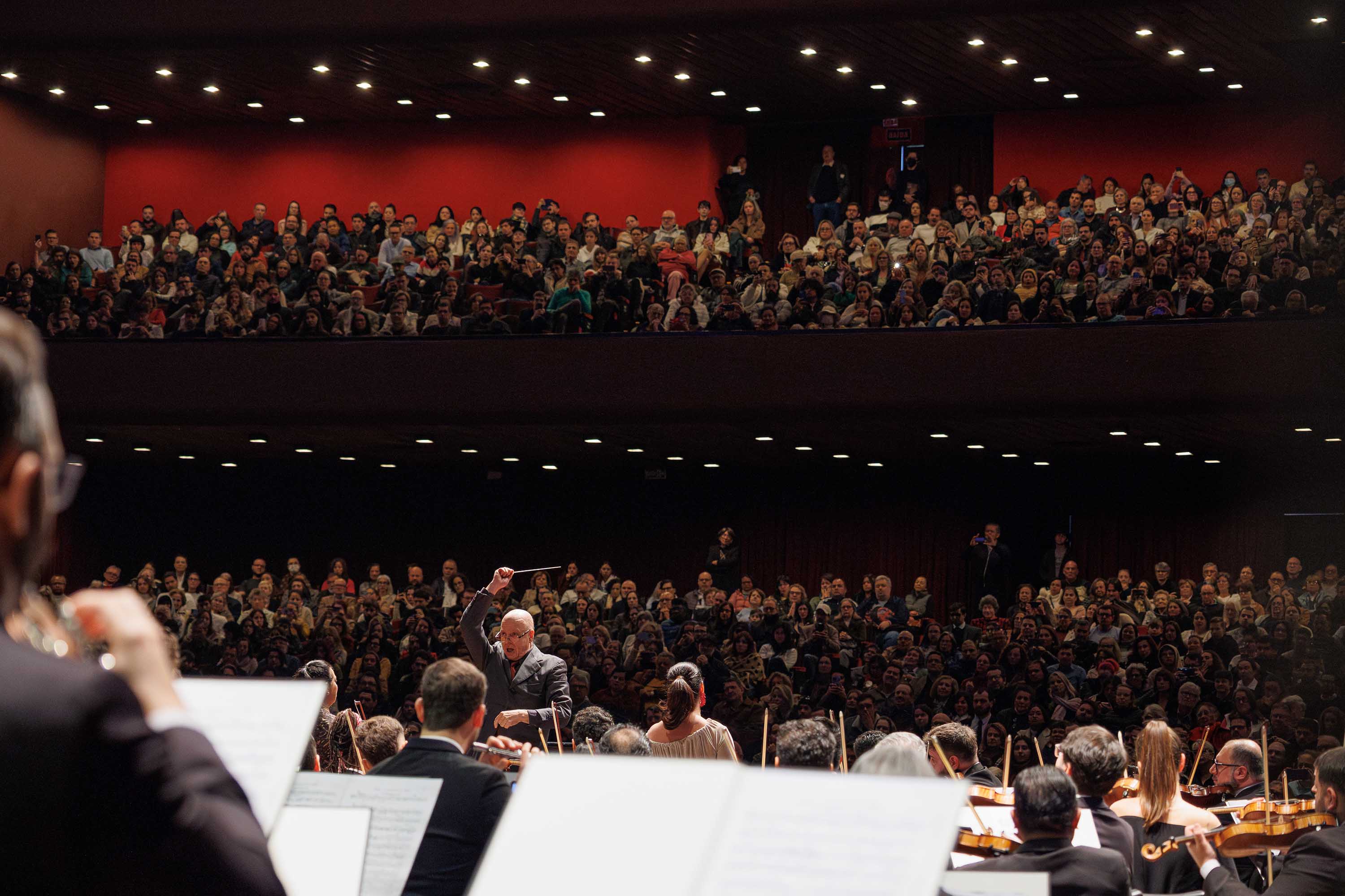 De Dalton Trevisan a Michael Jackson: agenda cultural da semana tem muitas atividades