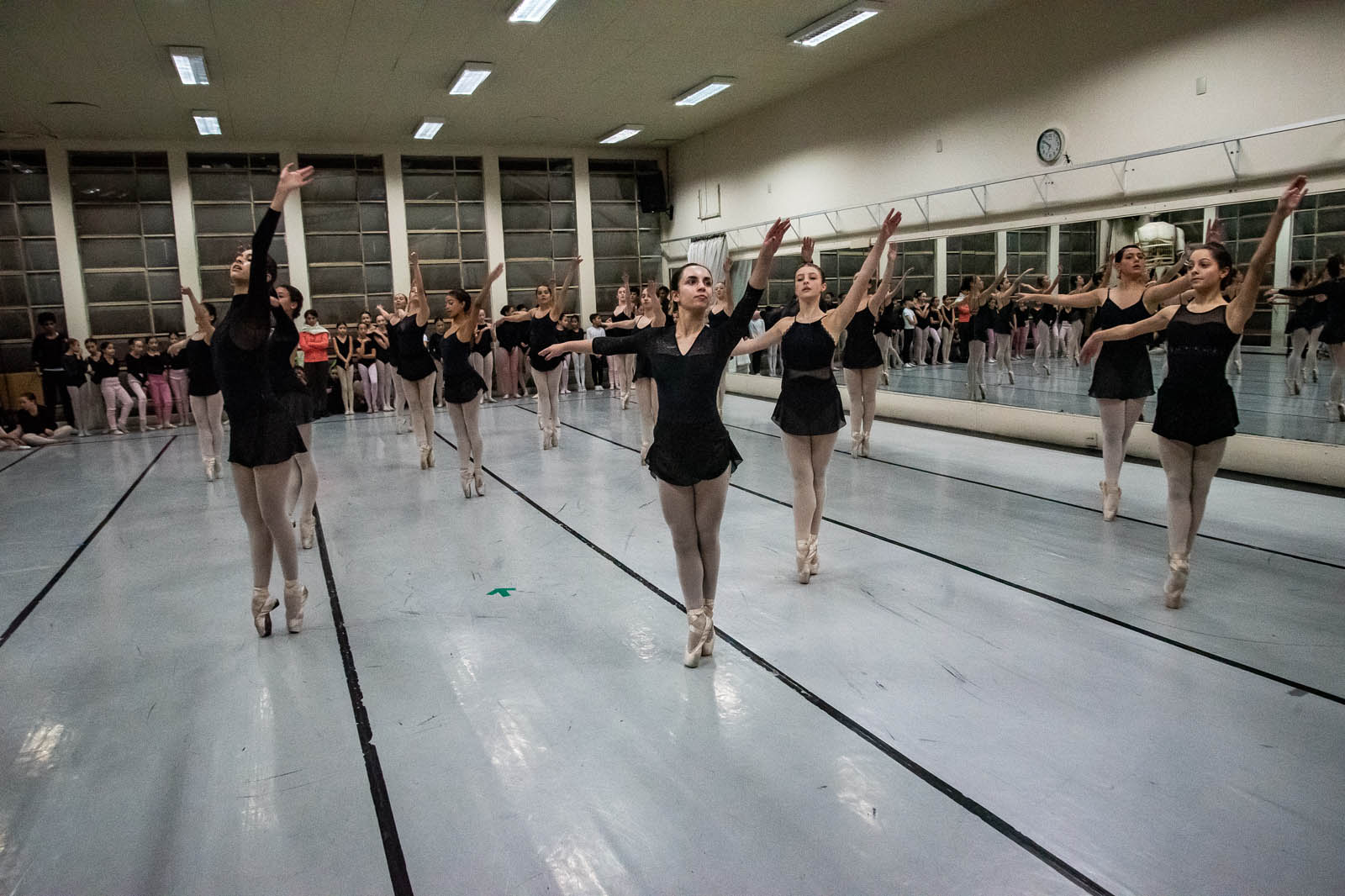 Orquestra no MON, exposição de Barrão e visitas guiadas são destaques da agenda cultural