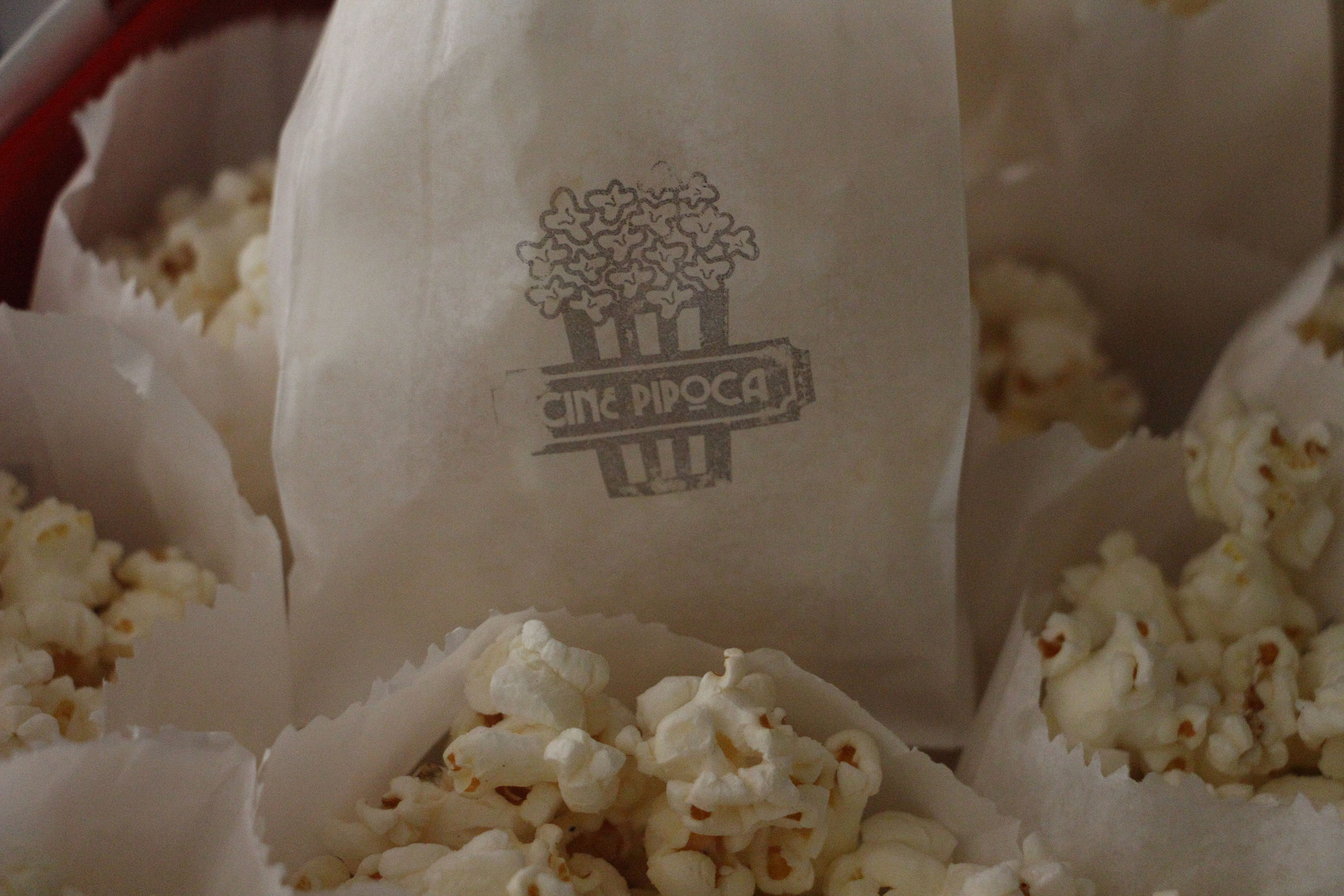 Queen, Hilda Furacão, Fagner e cinema no MON são destaques da programação cultural