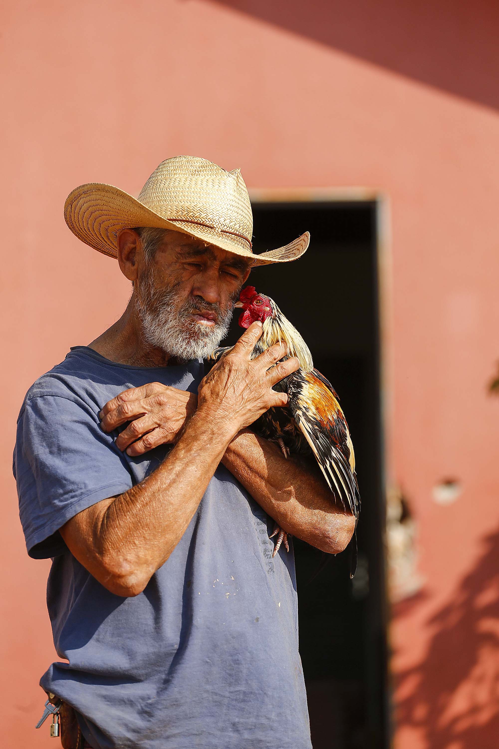 Gusttavo Lima no Verão Maior e programação de férias nos museus estão na agenda cultural