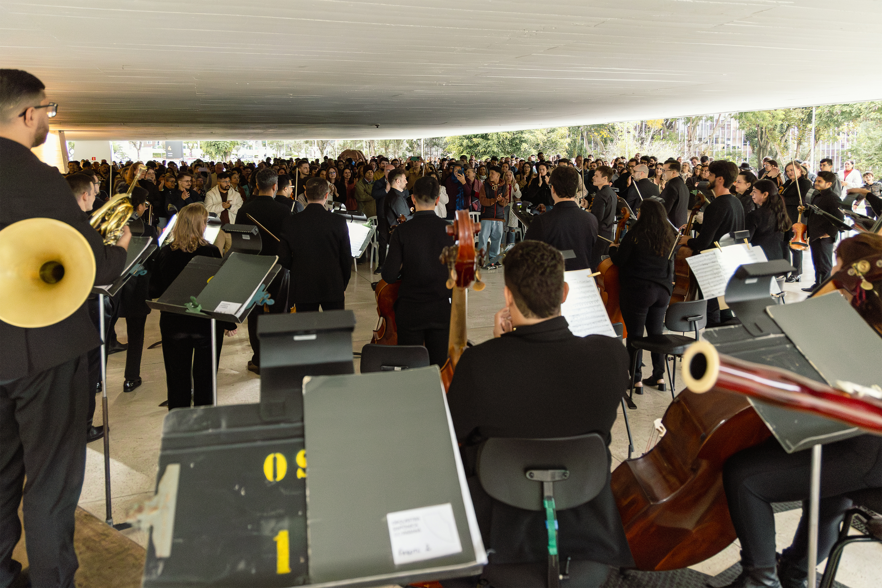 Mozart gratuito no MON, duas novas exposições e Vera Holtz estão na agenda cultural