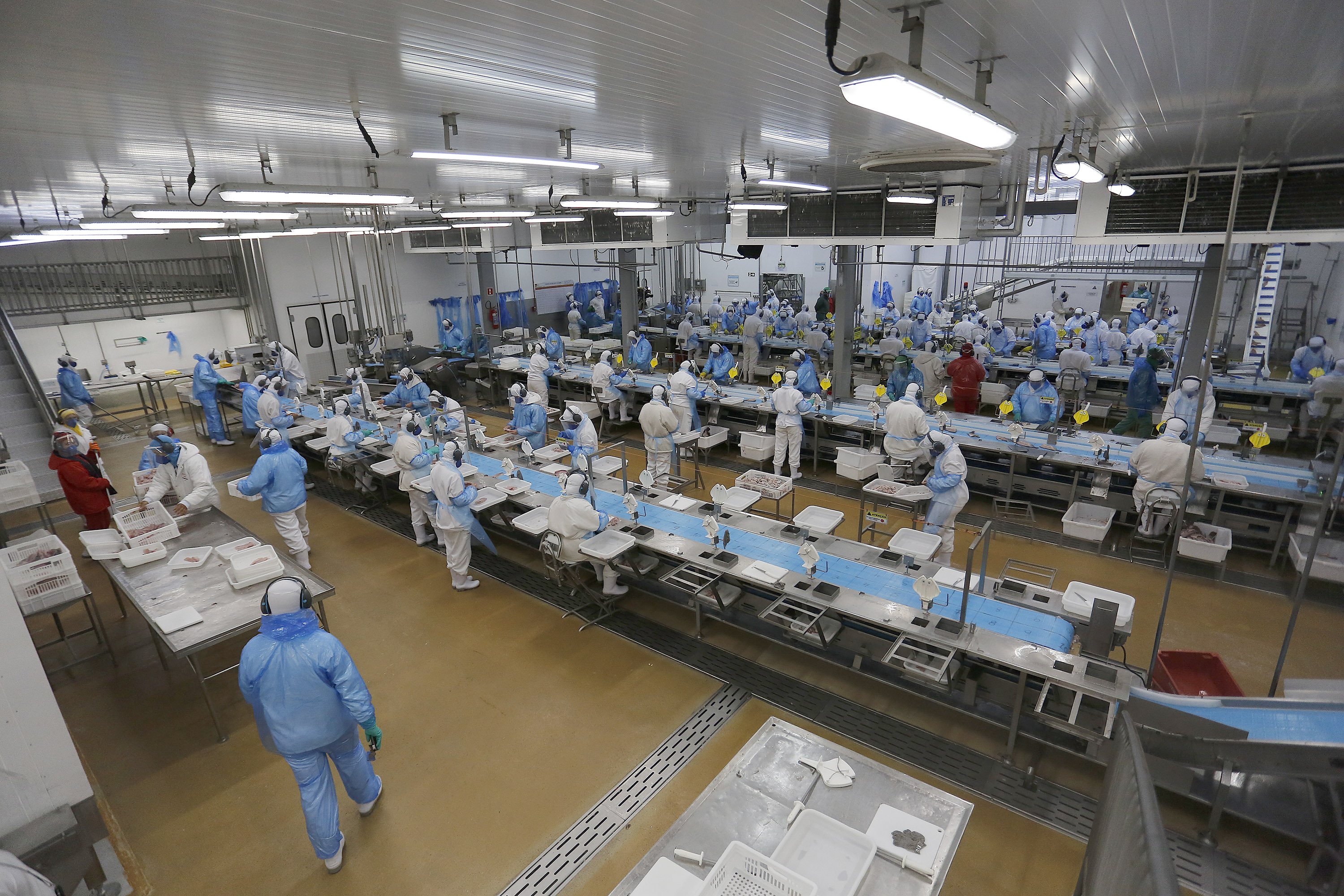 Foto: Jonathan Campos / AEN