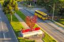 Estado propõe criação de agência para promover a integração das regiões metropolitanas