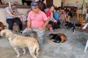 CastraPet Paraná alcança 73 mil animais esterilizados em 218 municípios