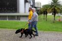 Conheça Rock e Roberto Leite, cão-guia e servidor cego que vão trabalhar no Governo do Paraná
