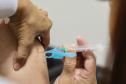Paraná libera vacinação contra gripe para todas as pessoas acima de seis meses de idade
