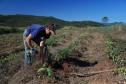 Coopera Paraná: Governo publica edital de R$ 31,5 milhões para apoiar agricultura familiar