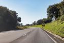 Lote 1 prevê duplicação e 21 viadutos e passarelas entre Ponta Grossa e Prudentópolis