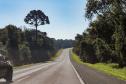 Lote 1 da nova concessão terá 156 km de duplicação na BR-277, entre Curitiba e Prudentópolis