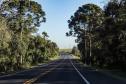 Lote 1 da nova concessão terá 156 km de duplicação na BR-277, entre Curitiba e Prudentópolis