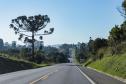 Lote 1 da nova concessão terá 156 km de duplicação na BR-277, entre Curitiba e Prudentópolis
