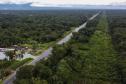 Lote 2 prevê duplicação de 13 km da PR-407, principal acesso para Pontal do Paraná, no Litoral