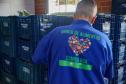 Arrecadação de alimentos na Ceasa Curitiba supera expectativa e chega a 33 toneladas