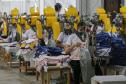 Paraná colocou 61,6 mil jovens no mercado de trabalho em 2023, melhor resultado do Sul
