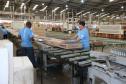 Carteira assinada: Agências do trabalhador ofertam 18,7 mil vagas no Estado
