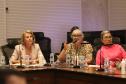 Reuniao do Comite de enfrentamento a Dengue no Palacio Iguacu, nesta quarta-feira (28).