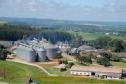 77% dos municípios do Paraná tiveram saldo positivo na geração de empregos em 2023