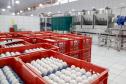 Produção de ovos do Paraná cresce 72% em uma década e mercado segue em expansão