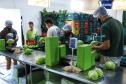 Pequenos negócios regionais terão preferência nas compras públicas do Paraná