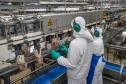 Fábricas viabilizadas pelo Paraná Competitivo em 2023 adicionam R$ 1,5 bilhão ao PIB