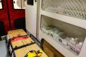 Curitiba, 10 de junho de 2024 - O Governo do Paraná investe em novas ambulâncias do Serviço Integrado de Atendimento ao Trauma em Emergência (Siate).