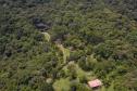 Mata Atlântica: BRDE e Fundação Grupo Boticário firmam parceria sustentável