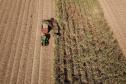 VBP Agropecuário do Paraná cresce 11% em 2023 e alcança R$ 197,8 bilhões