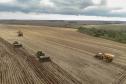 VBP Agropecuário do Paraná cresce 11% em 2023 e alcança R$ 197,8 bilhões