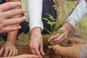 No Dia Mundial do Meio Ambiente, Paraná alcança 9,8 milhões de mudas distribuídas desde 2019.