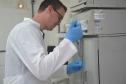 Pesquisa da Unicentro resulta num fármaco com nanopartículas para o tratamento de diabetes