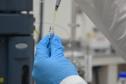 Pesquisa da Unicentro resulta num fármaco com nanopartículas para o tratamento de diabetes