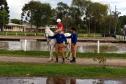 Terapia com cavalos oferecida pela PMPR colabora na qualidade de vida de pessoas com deficiência