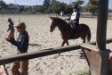 Terapia com cavalos oferecida pela PMPR colabora na qualidade de vida de pessoas com deficiência