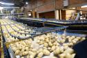 VBP Agropecuário do Paraná cresce 11% em 2023 e alcança R$ 197,8 bilhões